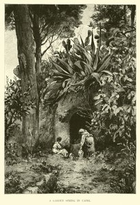 Ein Gartenspringbrunnen in Capri von English School