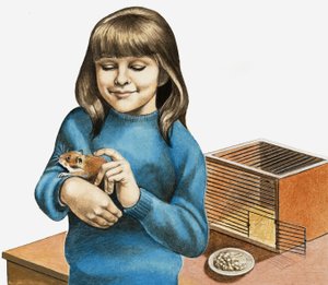 Ein Mädchen und ihr Hamster von English School