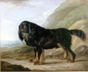Ein King Charles Spaniel in einer Landschaft von English School