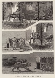 Eine Leopardenjagd in Oberburma, I von English School