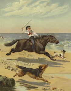 Ein morgendlicher Galopp