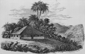 Das Haus eines Pflanzers in Brasilien (Lithographie) von English School