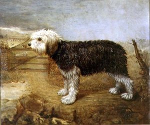 Ein Schäferhund, Felder dahinter von English School