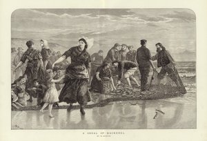Ein Schwarm Makrelen von W. Duncan