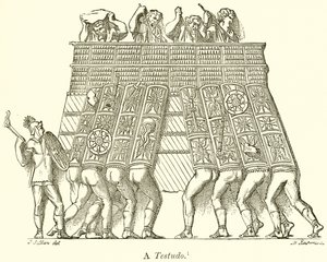 Eine Testudo von English School