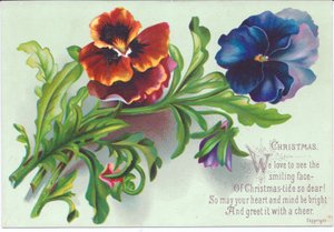 Viktorianische Weihnachtskarte mit einem Strauß von Stiefmütterchen, ca. 1880 von English School