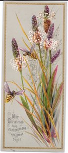 Eine viktorianische Weihnachtskarte mit zwei Bienen zwischen hohen Gräsern, ca. 1880 von English School