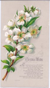 Eine viktorianische Weihnachtskarte mit einem Strauß Weihnachtsrosen und einem Vers, ca. 1880 von English School