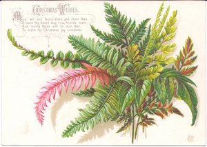 Eine viktorianische Weihnachtskarte mit einem Farnzweig, ca. 1880