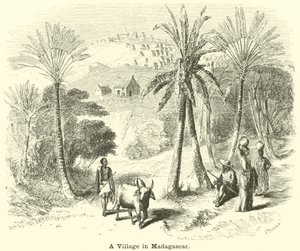 Ein Dorf in Madagaskar von English School
