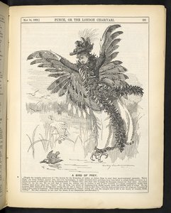 Ein Raubvogel, aus 