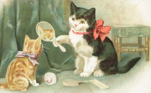 Eine Katze hält einen Handspiegel von English School