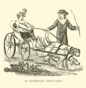 Ein Hundewagen von English School