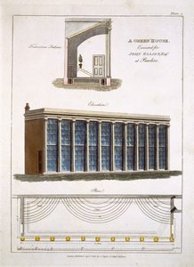Ein Gewächshaus für John Elliott in Pimlico, London, 1806