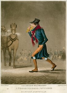 Ein Vollblut-November & Londoner Besonderheit von English School