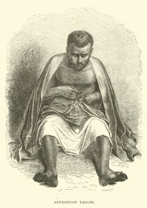 Abessinischer Schneider von English School