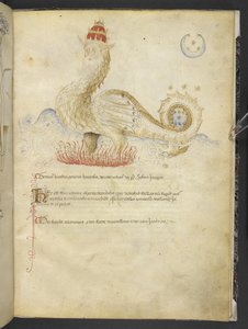 Joachimi Abbatis de Curatio, et Anselmi, Episcopi Marsicani, Vaticinia xxx de Pontificibus Romanis; scil., a Nicolao III. ad Innocentium VIII (ca. 1500) von English School