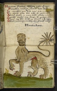 Spielbuch von English School