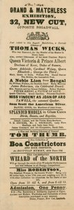 Werbung für Fergusons Grand und Oriental Promenade und Ausstellung, 32 New Cut, Lambeth, London von English School