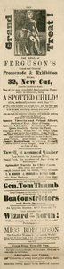 Werbung für Fergusons Grand und Oriental Promenade und Ausstellung, 32 New Cut, Lambeth, London von English School