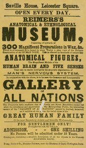 Werbung für Reimerss Anatomisches und Ethnologisches Museum von English School