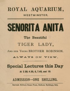 Werbung für Senorita Anita von English School