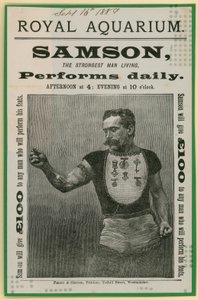 Werbung für Samson von English School