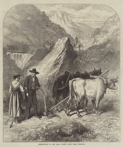 Landwirtschaft im Dora-Tal, Mont-Cenis-Bahn (Gravur) von English School
