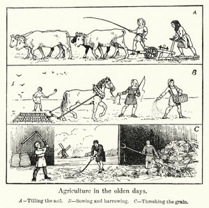Landwirtschaft in alten Zeiten von English School