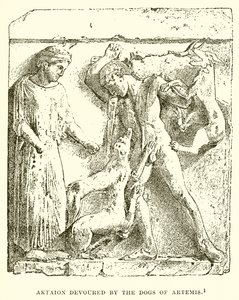 Aktaion wird von den Hunden der Artemis verschlungen