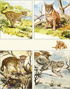Alle Arten von großen Katzen von English School