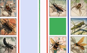 Alle Arten von Insekten von English School
