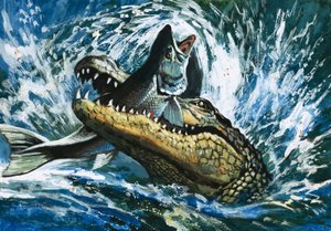 Alligator frisst Fisch von English School