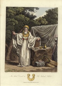 Ein Erz-Druide in seiner richterlichen Tracht von English School