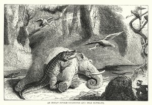 Ein indischer Dschungel, Alligator und toter Elefant (Gravur) von English School