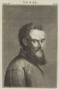 Andreas Vesalius von English School