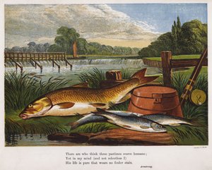 Fang eines Anglers am Flussufer