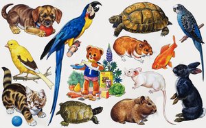 Tiermontage von English School