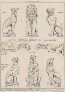 Tiere zwischen den Dachgauben der Hauptfassade des neuen Natural History Museum, South Kensington von English School