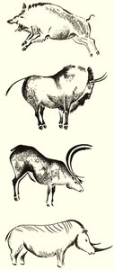 Tiere mit Hörnern Montage von English School