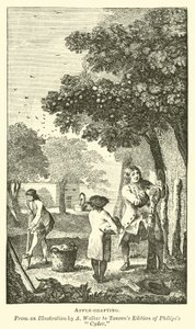 Apfelveredelung von English School