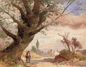 Asche am Wegesrand von English School