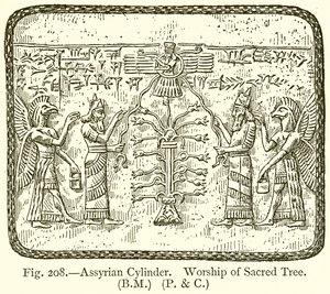 Assyrischer Zylinder. Verehrung des heiligen Baumes von English School