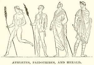 Athleten, Paidotribes und Herold von English School