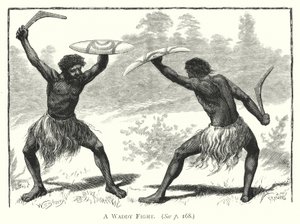 Australien: Ein Waddy-Kampf (Gravur) von English School