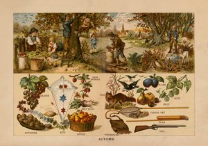 Herbst von English School
