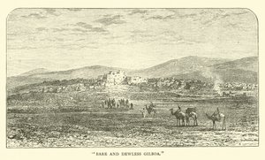 Kahles und tauarmes Gilboa von English School