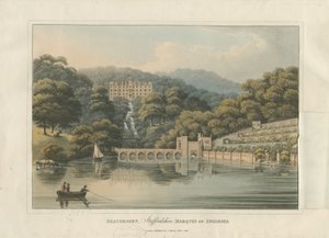 Beaudesert Halle und Park: Farbige Aquatinta, 1816