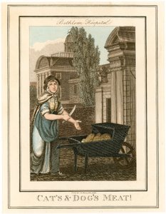 Bethlem Hospital. Katzen- und Hundefleisch von English School