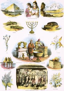 Biblische Illustrationen von English School